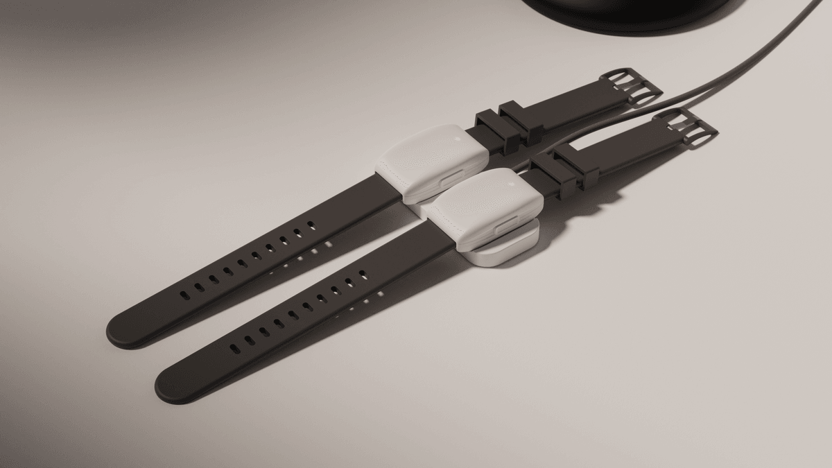 Stroke detection wearable